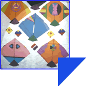 Makar Sankranti- Kite festival