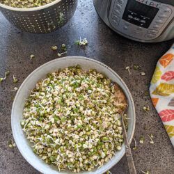 Instant Pot Moong Beans are ready for salad